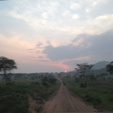 Traveler photo 3
