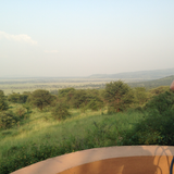 Traveler photo 4