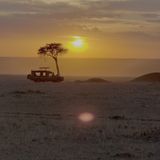 Traveler photo 1