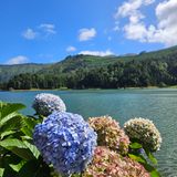 Traveler photo 4
