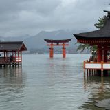 Traveler photo 2