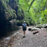 Traveler photo 2