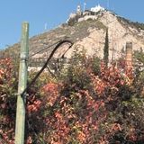 Traveler photo 1