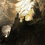 Traveler photo 2