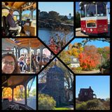 Traveler photo 5