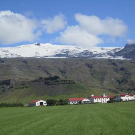 Iceland Tour of Reykjavik & the Golden Circle | EF Go Ahead Tours