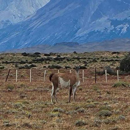 Chile to Argentina: Santiago, Patagonia & Buenos Aires